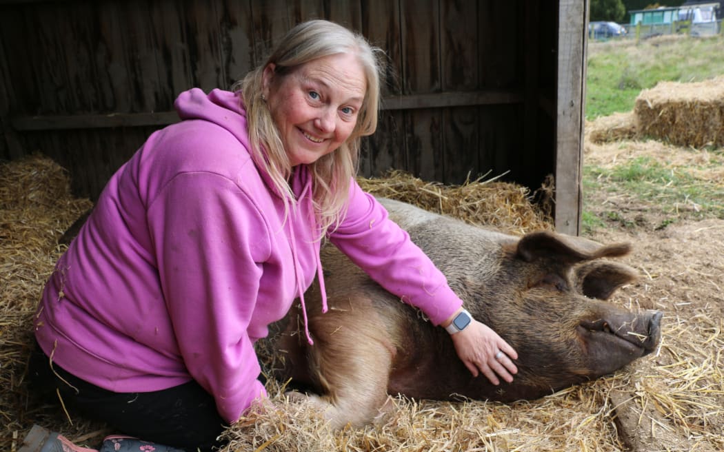 Canterbury Tails Animal Rescue