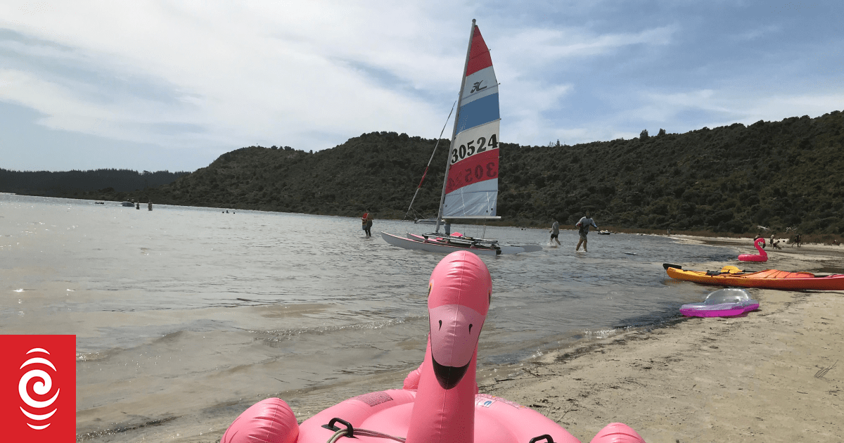 Kaipara leader urges Kai Iwi Lakes closure to protect against gold clam threat