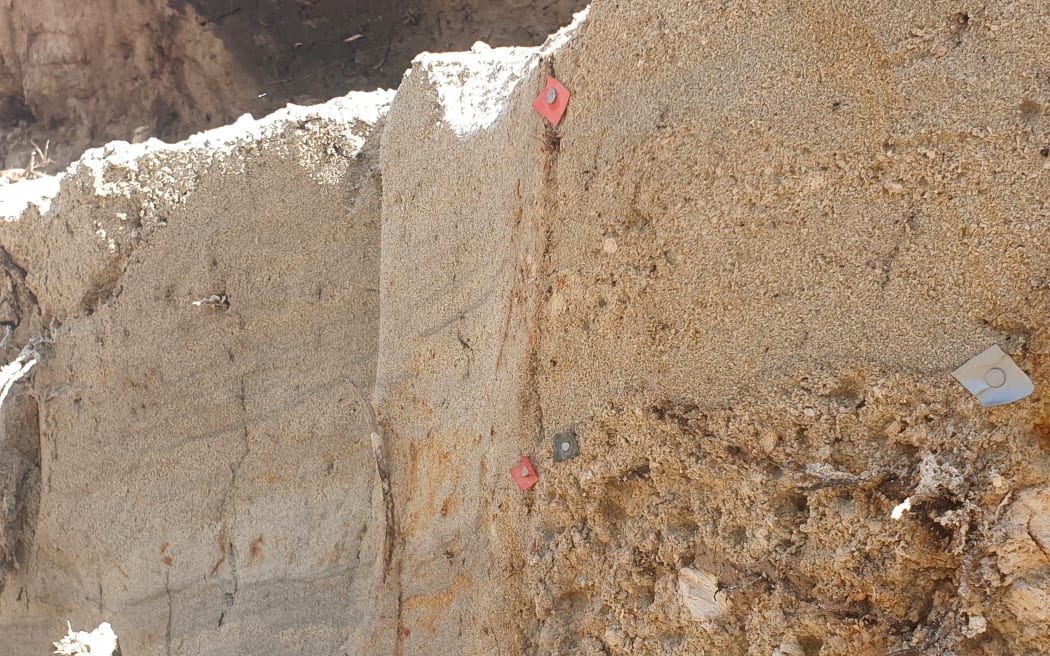Fault line rupture at a farm in Tatuanui near Morrinsville in the Waikato.
