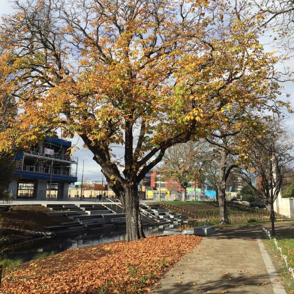 The Terrace development, beside the Avon River in central Christchurch.