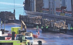 Only four of 40 stevedores were vaccinated against Covid-19 in the first week of the Gisborne border rollout, but Hauora Tairāwhiti says more have been vaccinated since.
