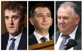 Ministers Chris Bishop, Simeon Brown and Shane Jones will have the final say on whether projects in line for consideration under the government's Fast-Track Approvals Bill will be given the green-light or not.