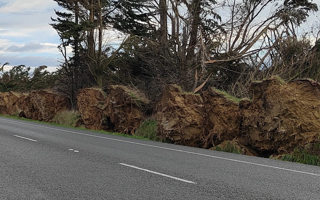 Damage from the storm.