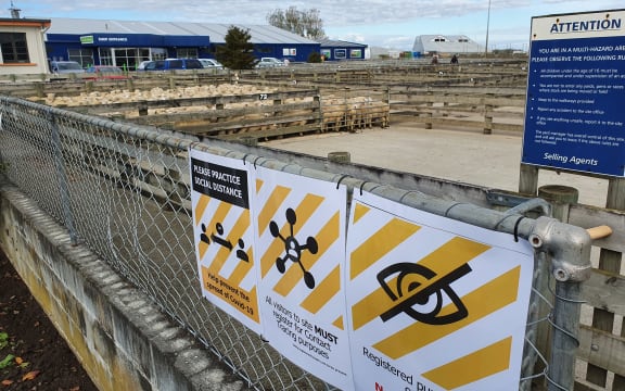 Restrictions in place at Fielding saleyards during Alert Level 2