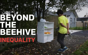 Beyond the Beehive: Inequality