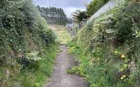 New Plymouth District Council in conjunction with Maia Developments will build a new public path alongside a new 119-home development in Highlands Park to provide residents better access through to Mangorei Road in New Plymouth.