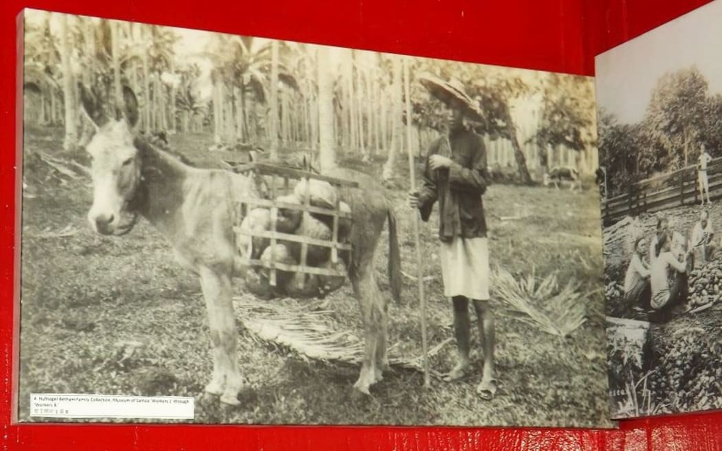 Images from the photo exhibition at the National Museum in Samoa