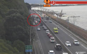 Wellington truck crash