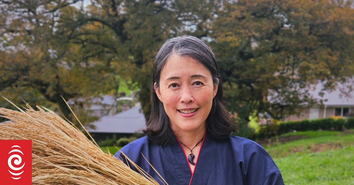 Why we need to grow more rice in New Zealand | RNZ