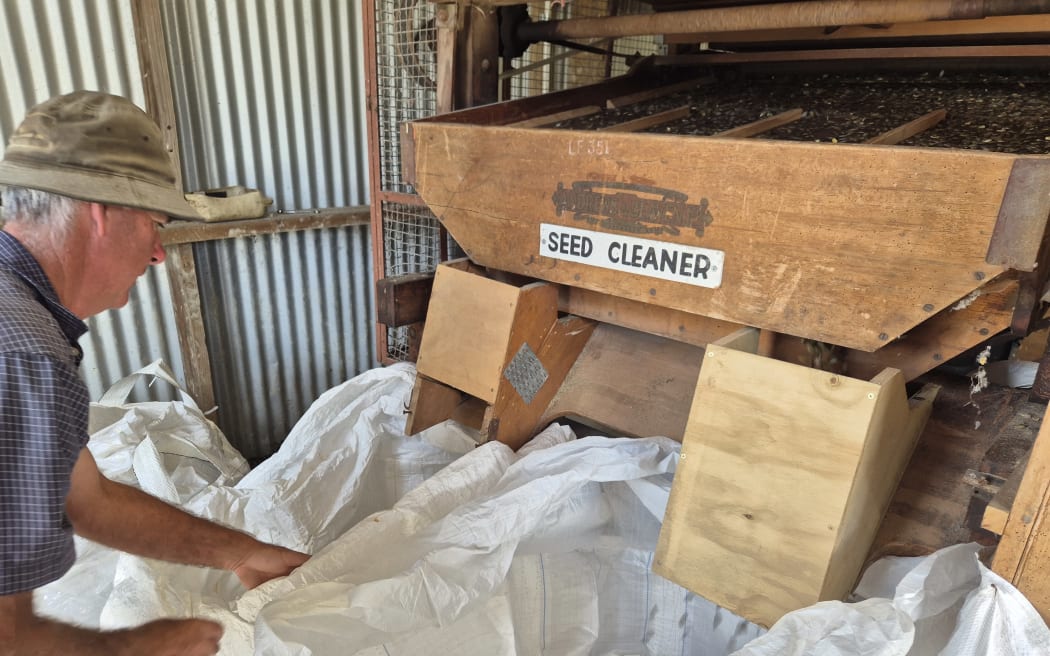 Last year the couple produced about 12 tonnes of seeds though they expect this year will be about half of that due to the dry conditions.