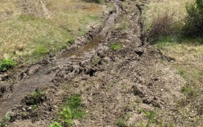 An example of damage to the Macetown Historic Reserve from off-road vehicles.