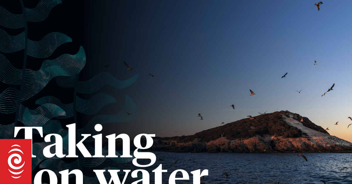 Taking on water - marine protection in Aotearoa - Vimarsana News