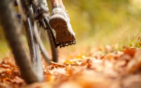 foot on pedal of bicycle in park