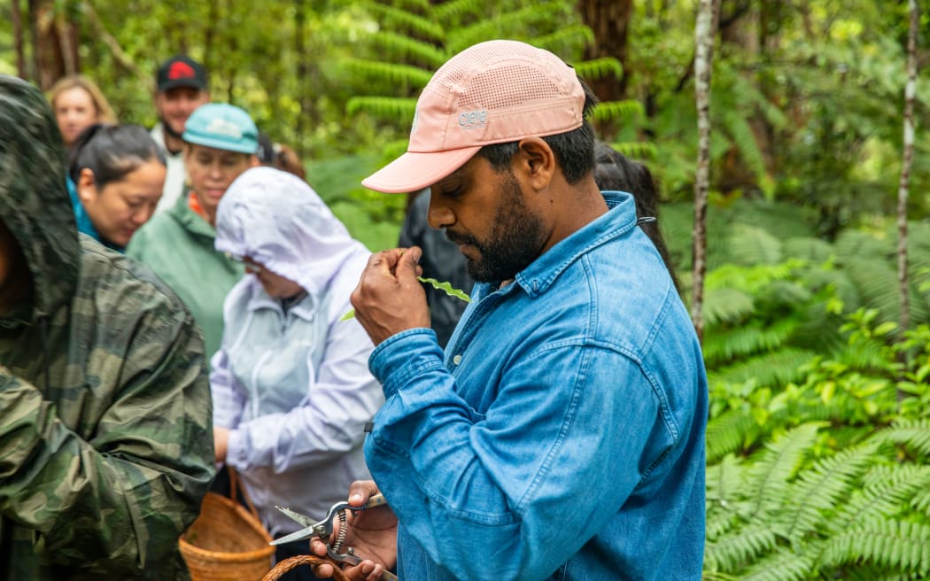 Members of the Indigenous Chef’s Collective foraging for kai Māori at Velskov native forest farm.