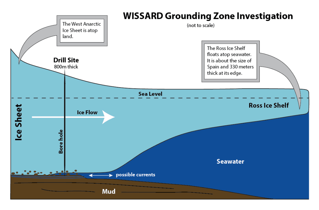 This diagram shows how the WISSARD team explored the grounding zone of the ice stream.