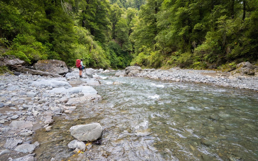Ruahine Forest - Megan Dimozantos crossing the Maropea River below Otukota Hut.