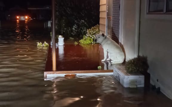Marie Tuahine's house in the Wairoa flood of June 2024.