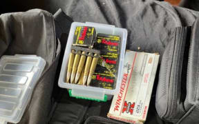 Guns and ammunition seized by police in Glendene.