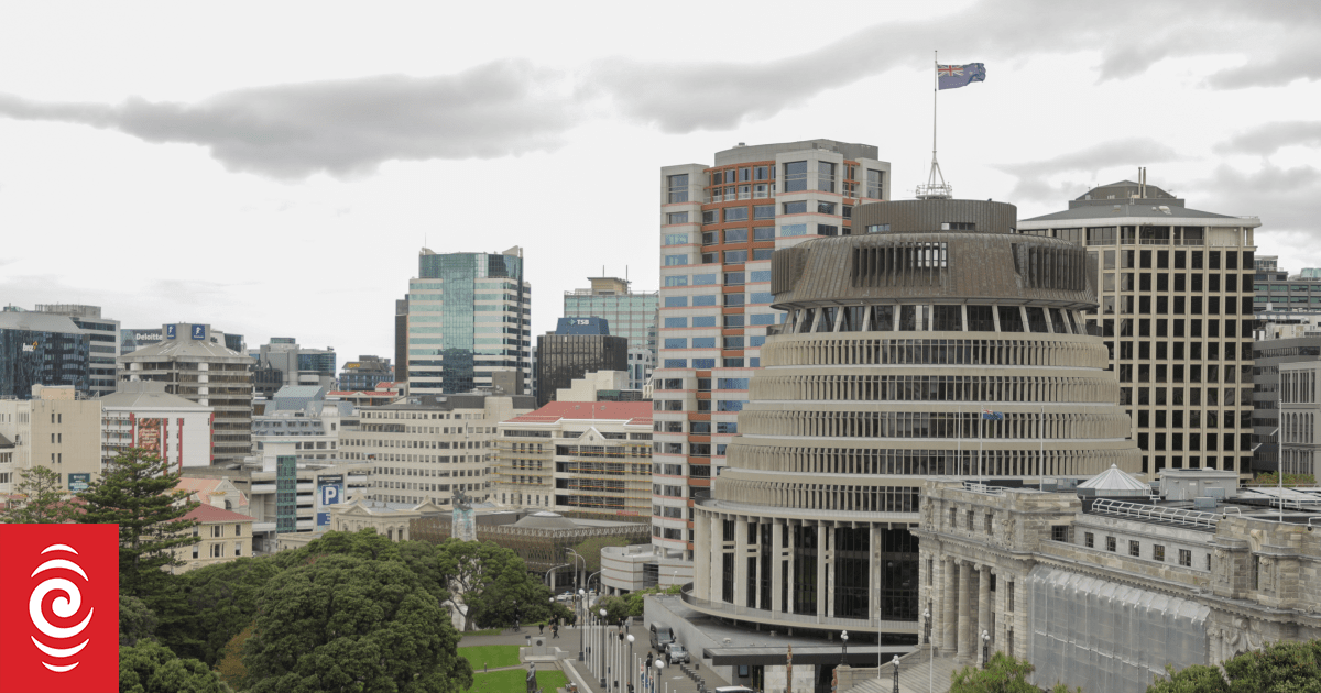 Nearly 40% of voters think Treaty of Waitangi has too much influence on government decisions - poll