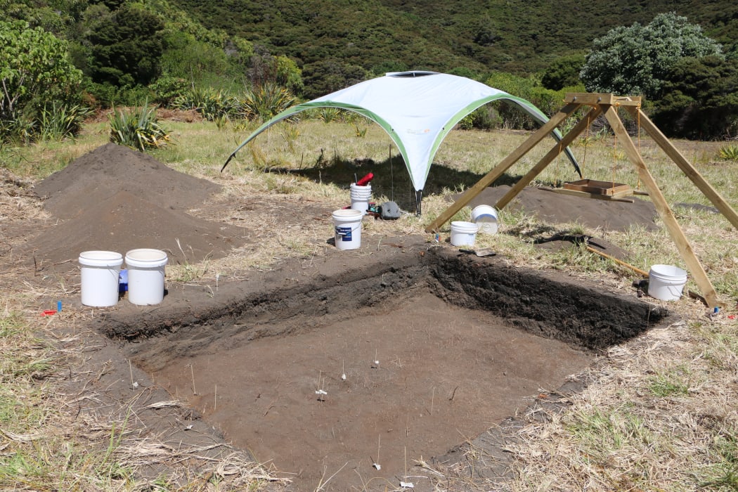 The dig site at Mangahawea Bay on Moturua Island, Bay of Islands.