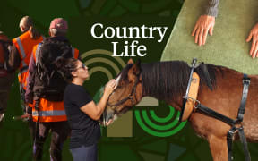 Summer Series: Country Life 13 January
