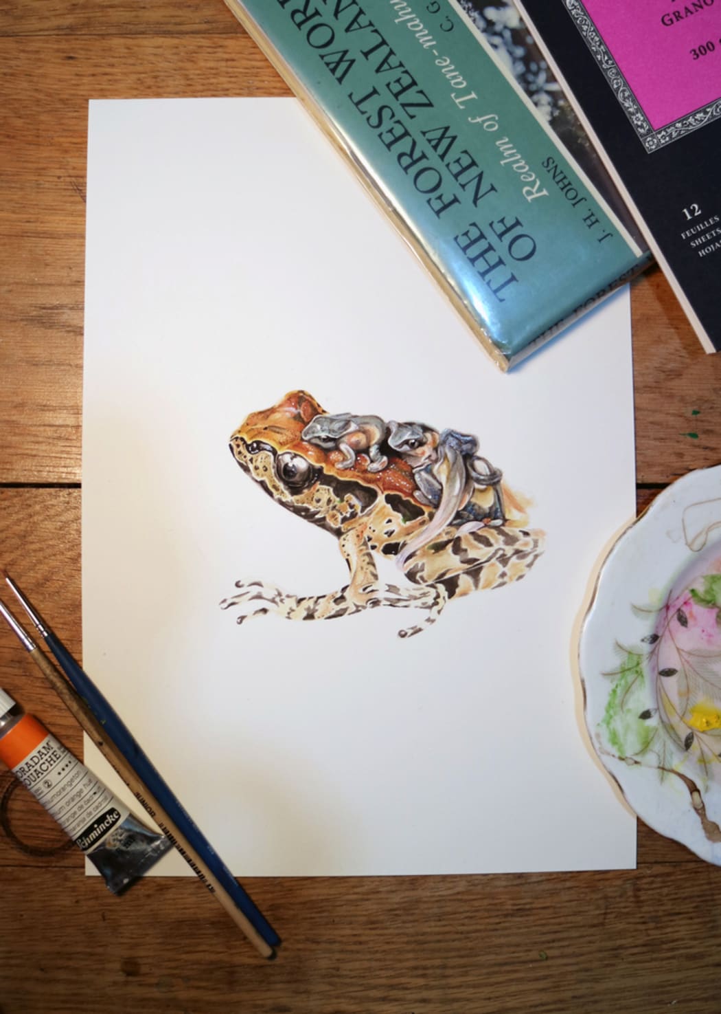 Pepeketua / Archey’s frog with froglets