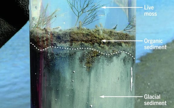 Greenland sediment core