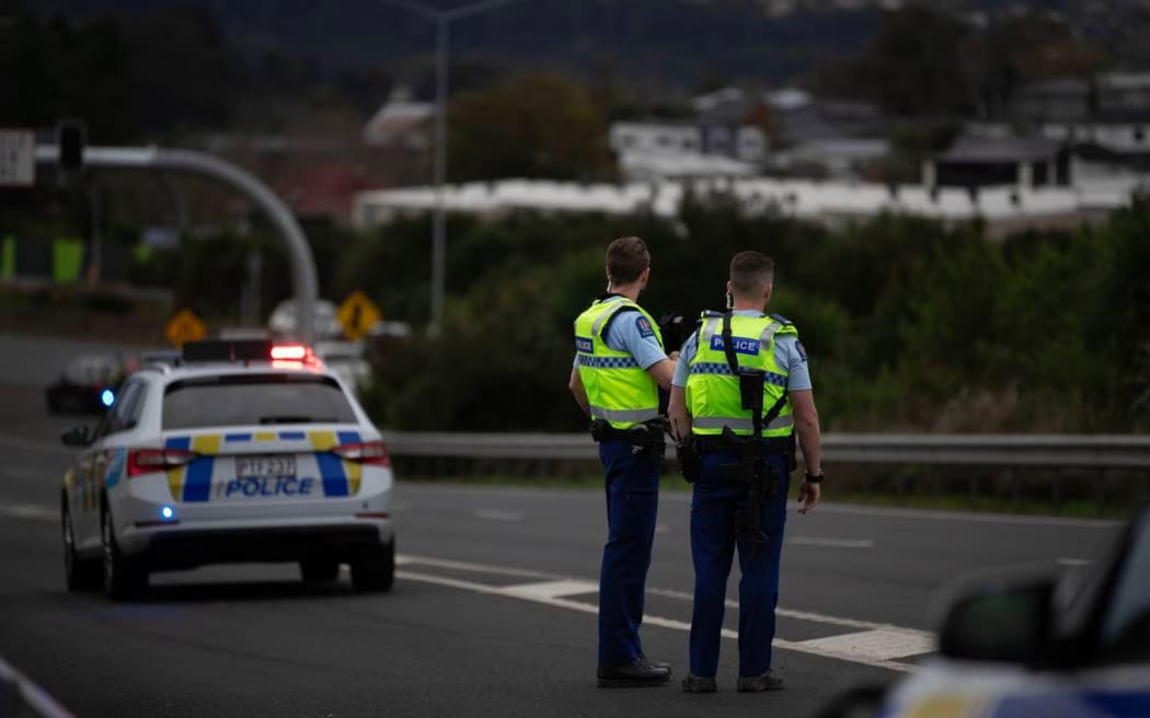 A pair of officers at the on-ramp where the pig was last seen on Saturday afternoon.