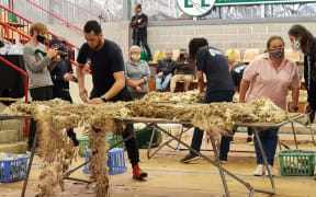 Woolhandling championship