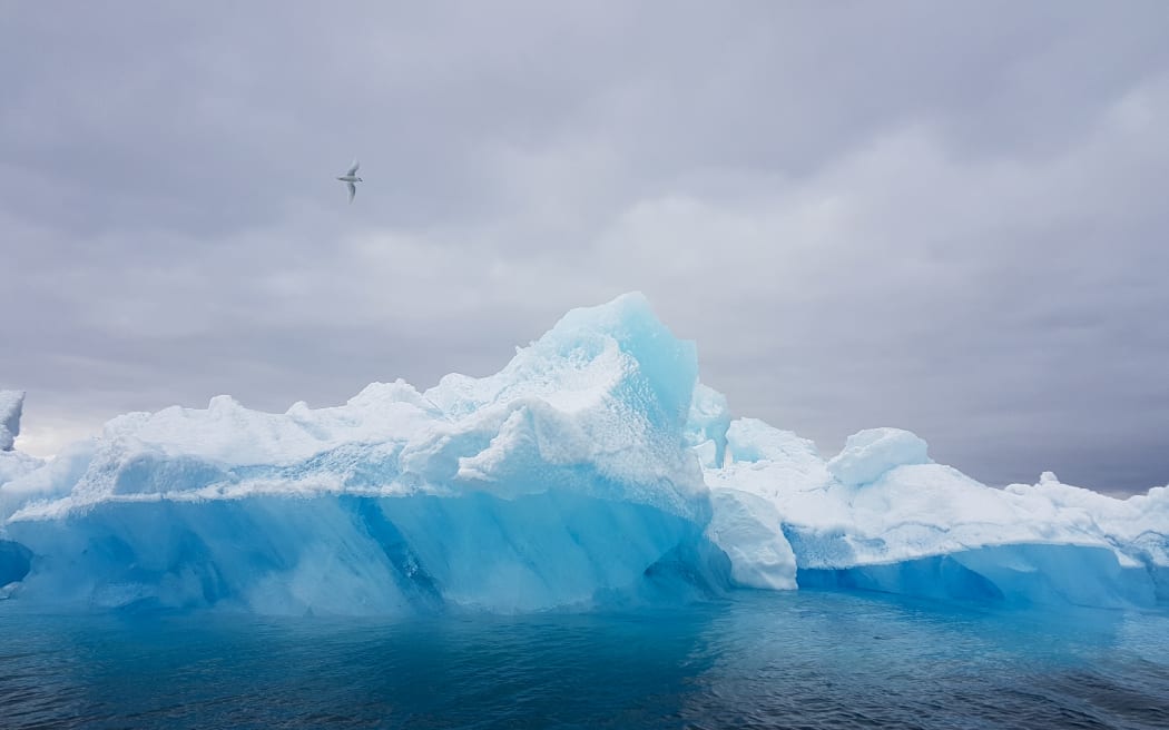 A wide-shot of a blue iceberg on blue ocean beneath a cloudy sky, with a lone white bird soaring above the berg.