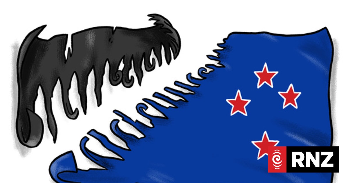 Flag failure: Where did it go wrong? | RNZ