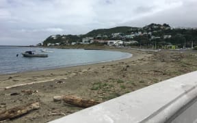 Island Bay.
