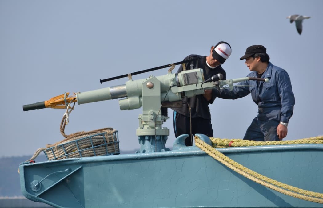 Crew of a whaling ship check a whaling gun or harpoon before departure at Ayukawa port in Ishinomaki City, Japan.