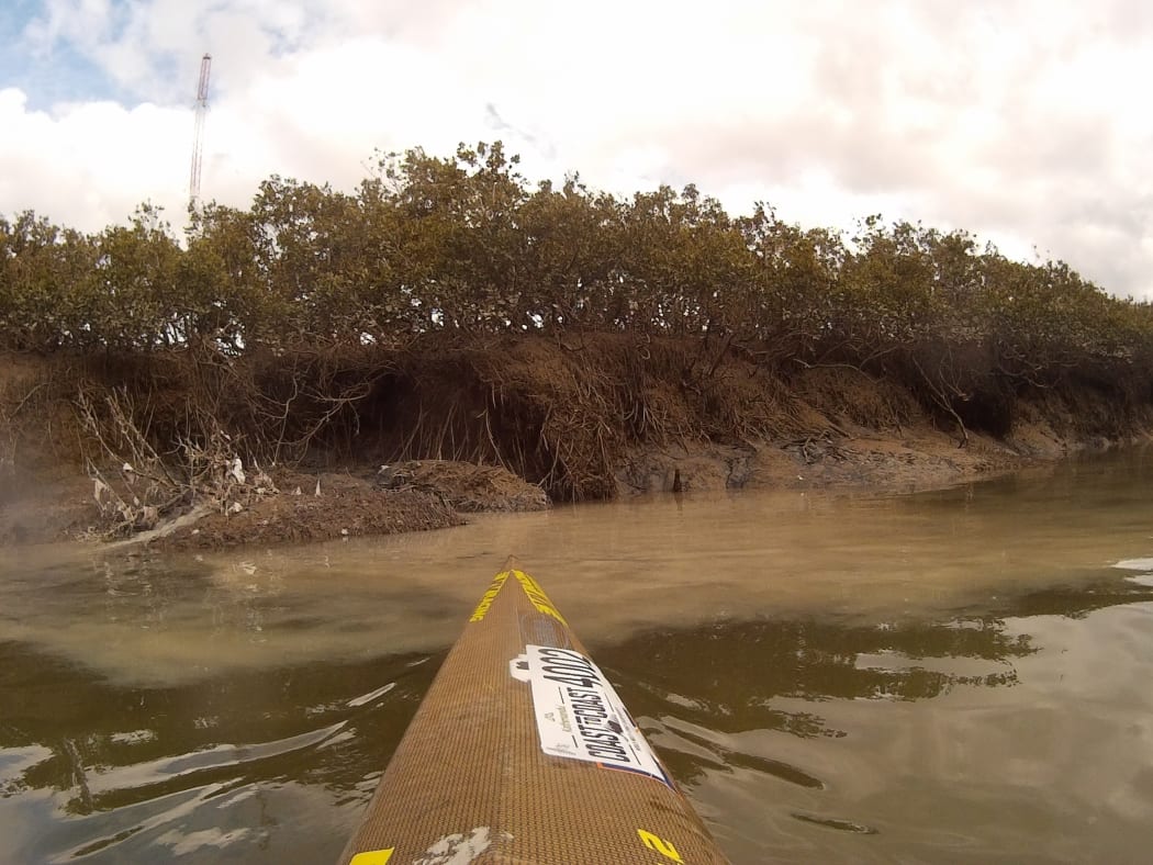 Raw sewage pollutes Henderson Creek in Auckland.