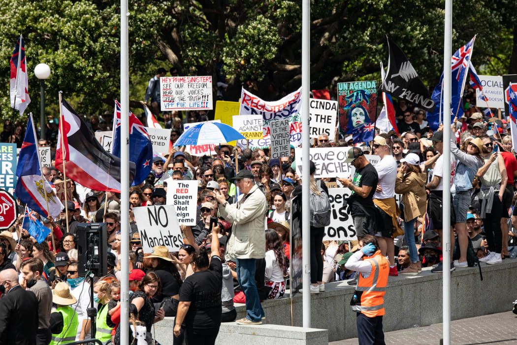 Anti-mandate protestors at parliament