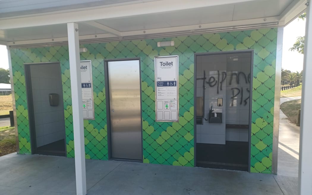 Vandalism at David Lange Park Playground in Māngere.