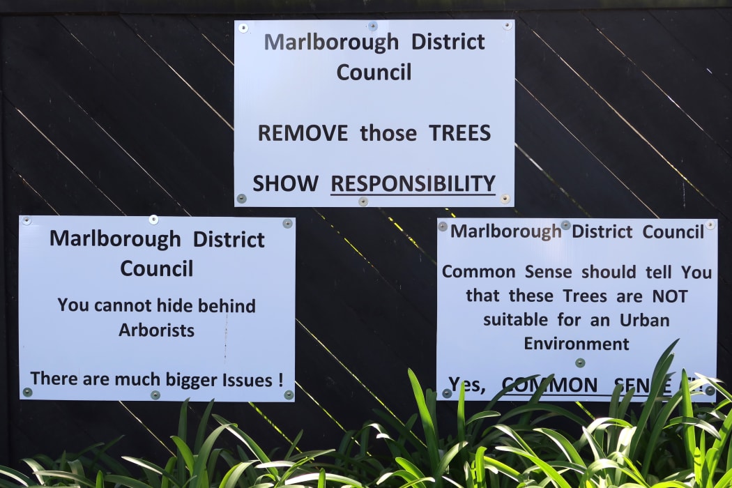 Signs will remain on Hay's front fence until the three trees are felled.