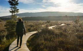 Kepler Track