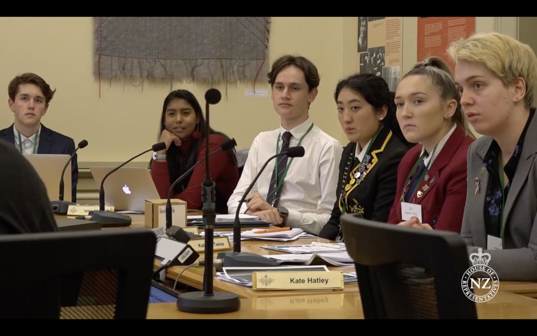 Youth MPs in Select Committee, 2019 Youth Parliament