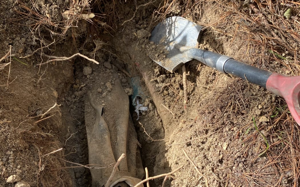 Metal detectorist finds guns in Wellington