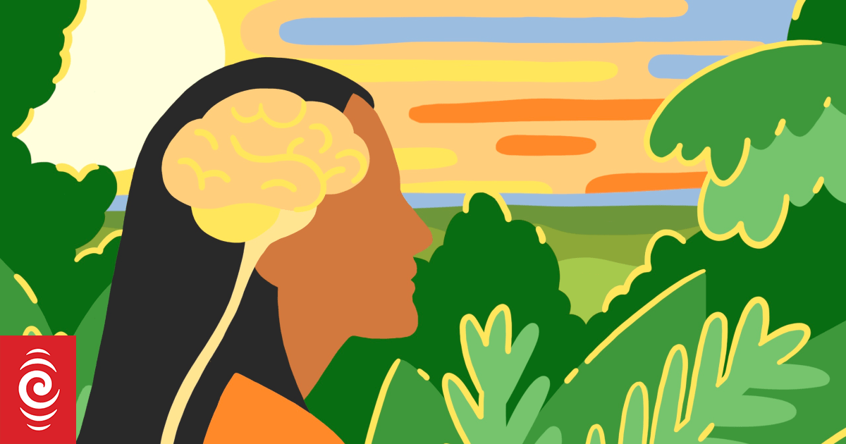 Survey shows better mental health services needed in the Pacific