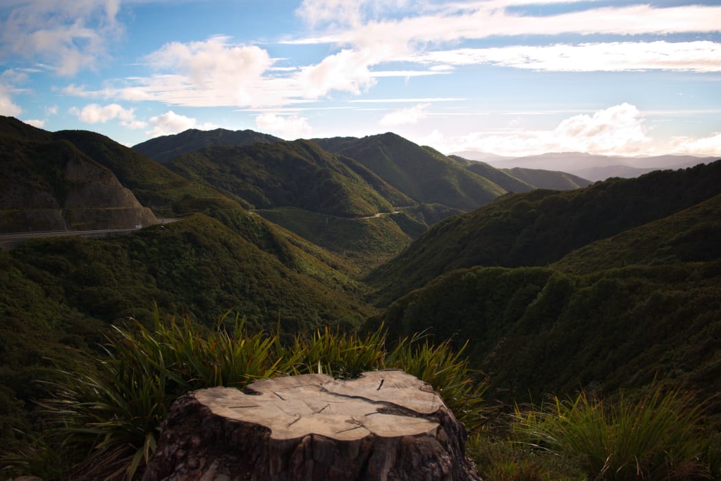 Rimutaka Ranges from the Remutaka Pass