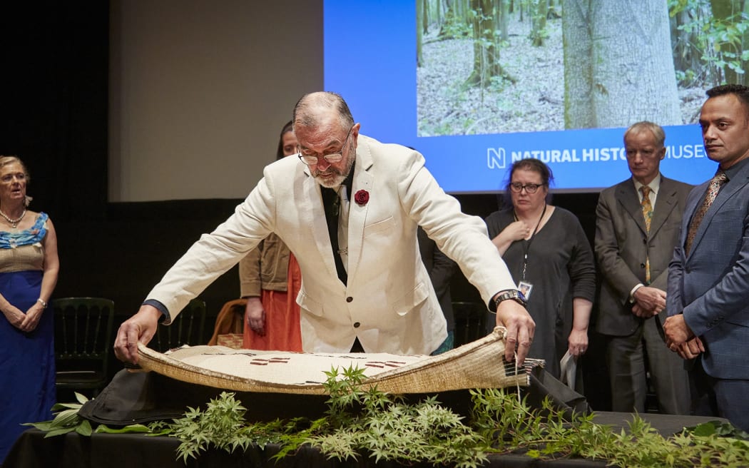 Maui Solomon, Hokotehi Moriori Trust Chair, covers some of the ancestral remains with a cloak of Moriori design at Natural History Museum London Repatriation Ceremony
