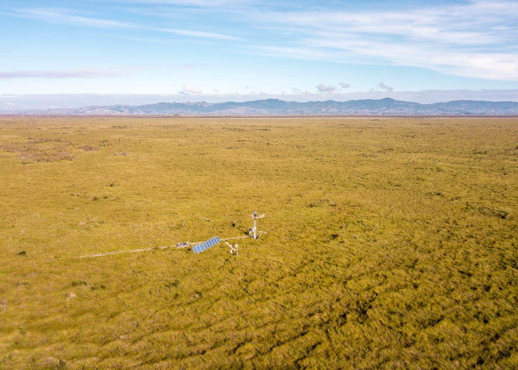 The scientific station at Kopuatai