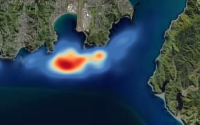 Calypso Science, a New Plymouth based oceanography research company with a focus on coastal currents, created a model of Wellington's south coast after the sewage plant failure.