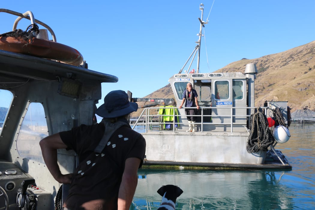 This Farmer Discovered a Salmon So Powerful It Shook the Farm