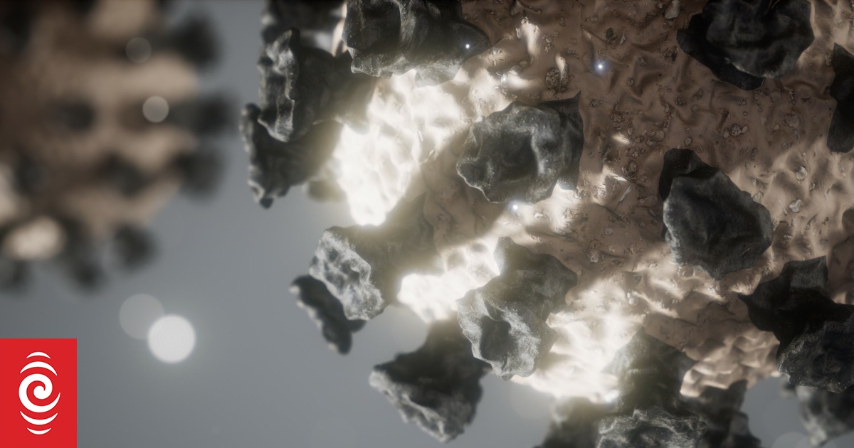 Covid-19 inquiry: Politicians on all sides find what they need in report - RNZ by Senior Reporter