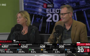 Election 2020   A 'bloodblath'   Sue Bradford, Bryce Edwards' analysis