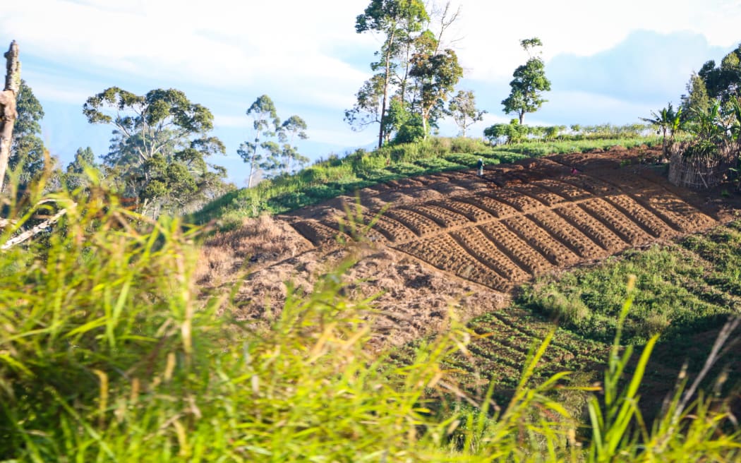 PNG Highlands Highway - farm