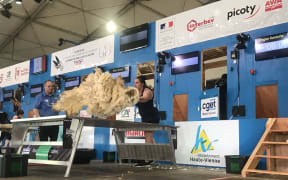 Sheree Alabaster at the World Shearing and Woolhandling Championship in France.